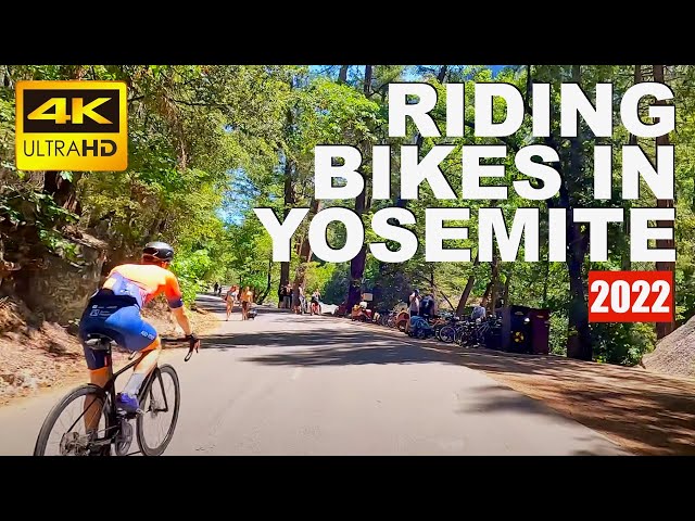 Yosemite National Park Bike Ride in 4K HDR | See Mirror Lake, Curry Village, Half Dome POV GO PRO