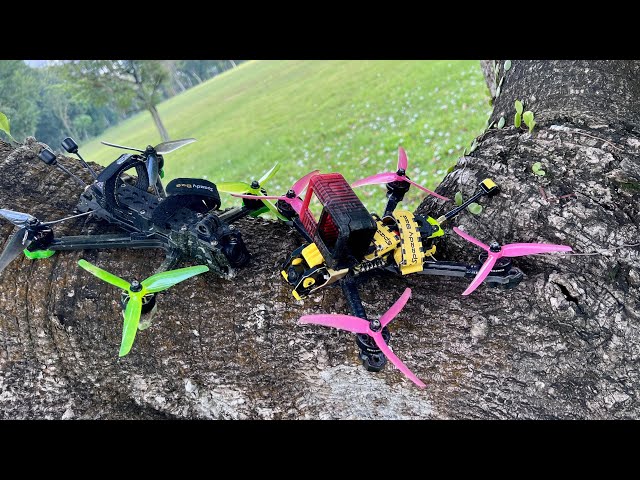 Journey of FPV / Bee 5 FPV analog VTX with 4K GoPro 11 / Dover Field 2024