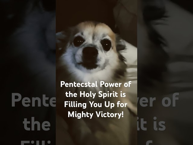 Power of Pentecost! #love #miracle #grace #faithfullness #viralvideo #power #glory #victory #faith
