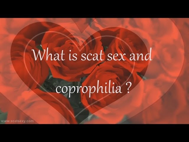 What is Scat Sex and Coprophilia ?