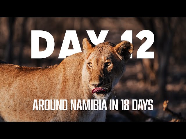 NAMIBIA DAY 12: Private Tour in Onguma Park and night at Tamboti Campsite | One day one minute