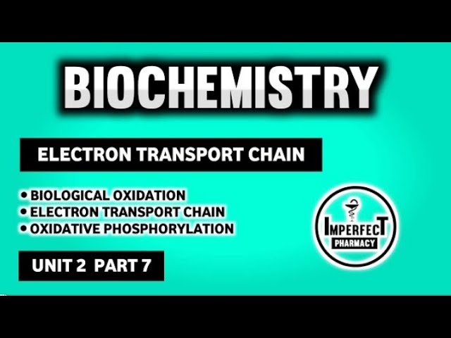 Electron Transport Chain | Oxidative Phosphorylation | Biological Oxidation | Biochemistry | B Pharm