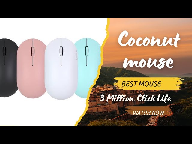 Coconut KUDOS  Wireless Mouse Review |2024