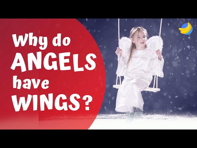 Why do angels have wings?👼 | Curious Questions