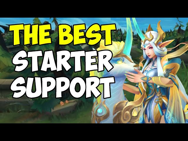 Learning Support? This is the Champion for you!
