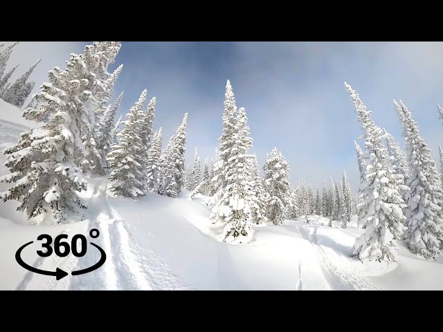 Freeride Snowboarding 360 VR Video - Спуск на сноуборде сквозь красивый зимний лес