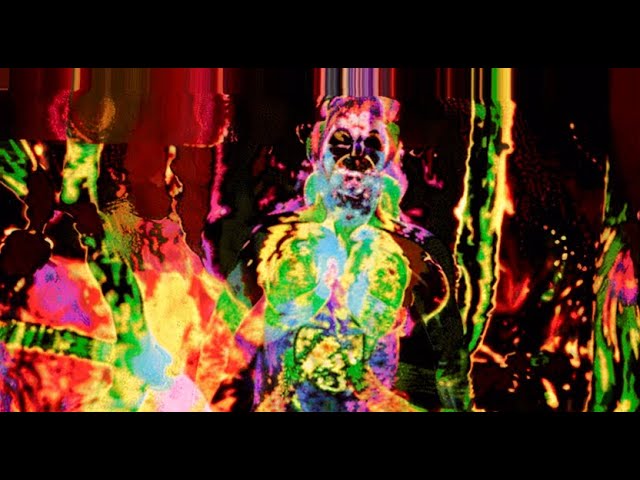 "THERMAL VISION" AI Animation - Stable Diffusion - Deforum - 4K