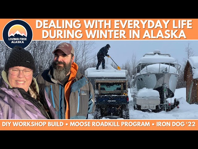 Everyday Life in the Middle of the Winter in Alaska [February 2022 Recap]