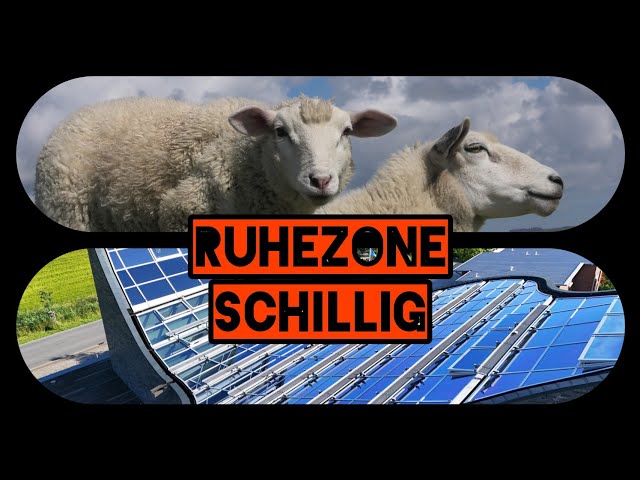 #Schillig RUHEZONE