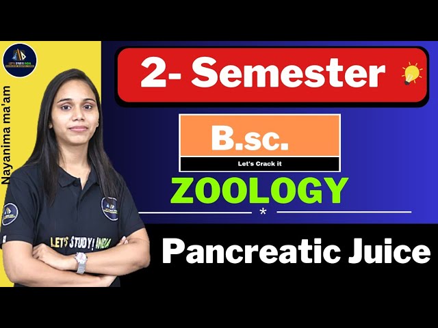 Pancreatic Juice | B.Sc. Zoology 2nd Semester | Nayanima Ma'am |