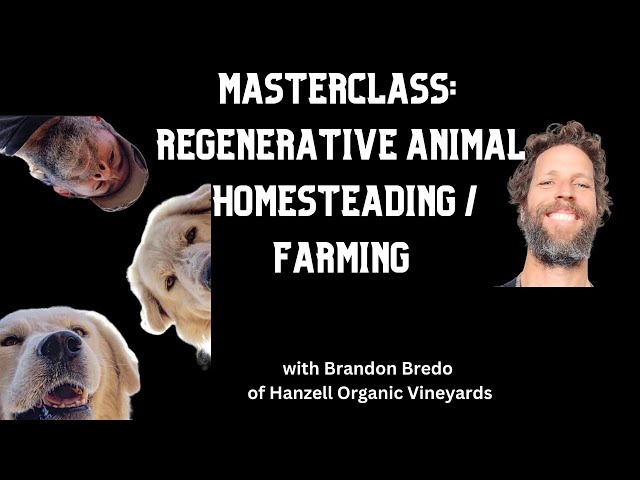 The FUTURE of farming and homesteading with animals. Interview