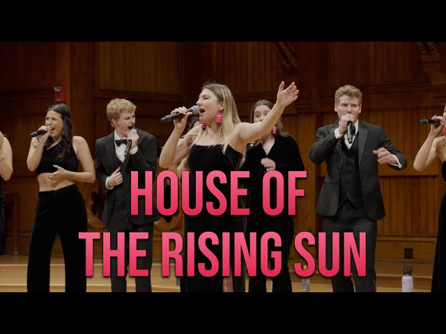 House of the Rising Sun | The Harvard Opportunes (The Animals Cover)