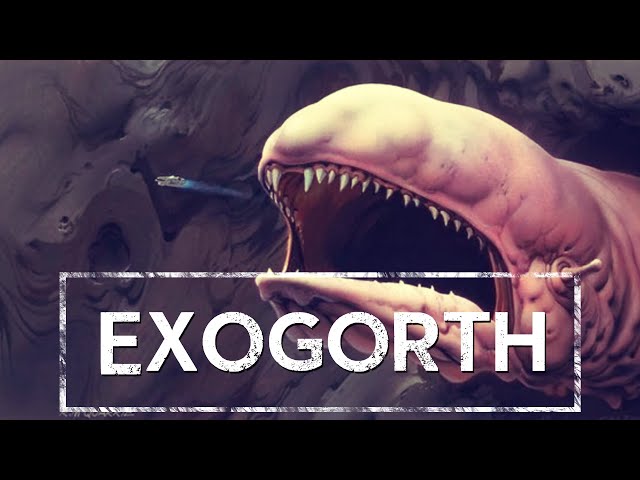 What is Exogorth❓🐌 [HOLOCRON]