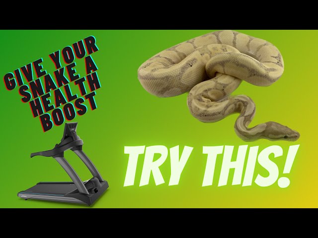 The snake chambers health tips