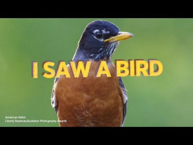 I Saw A Bird: Audubon's Spring Migration Show with Dr. Jane Goodall (Episode 6)