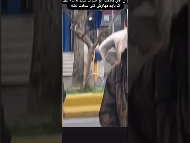پلنگ مازندران قائم شهر - جنگی -