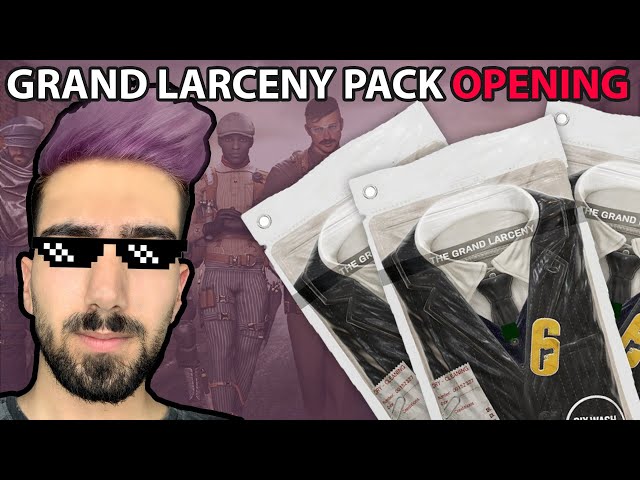 Grand Larceny Pack Opening | بریم ببینیم پکای جدید چی داره