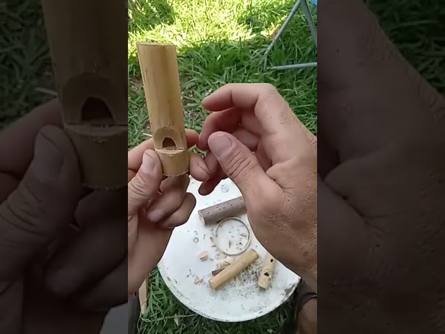 how to make a whistle from an elderberry bush