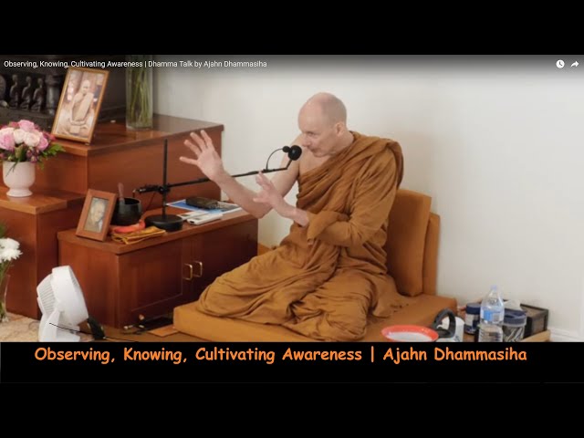 Observing, Knowing, Cultivating Awareness | Dhamma Talk by Ajahn Dhammasiha