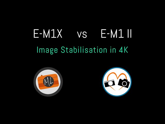 E-M1X vs E-M1 II - Quick IBIS Video Comparison