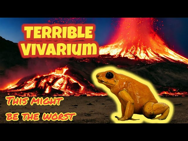 Terrible Dart Frog Vivarium | How to set up a terribilis dart frog vivarium