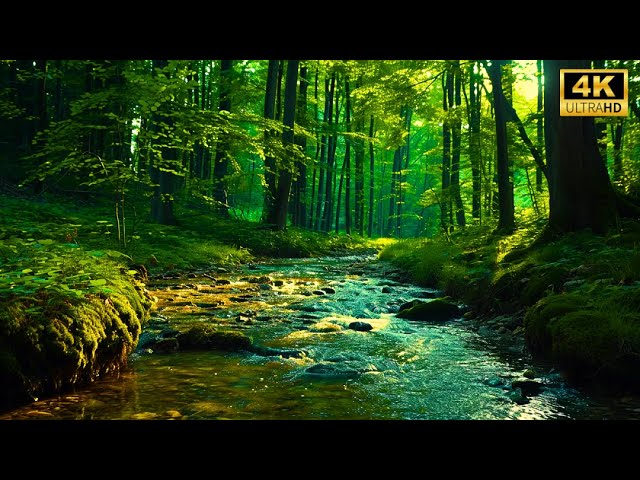 River Whisper and Morning Birdsong: A Forest Retreat 🎵 Beautiful Forest Sound, Natural Sound #059