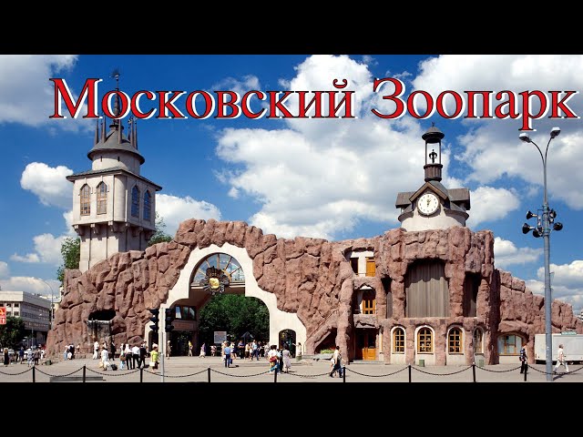 Московский зоопарк- животные в Московском зоопарке радуют посетителей