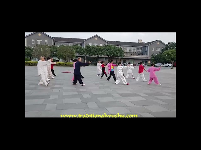 32 Movement Yang Style Taijiquan Fist Form Training Chengdu China