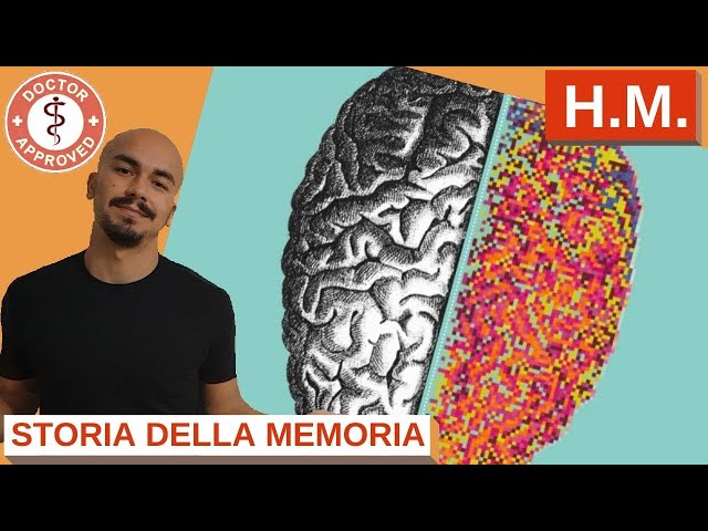 H.M. |  Henry Molaison: come funziona la MEMORIA