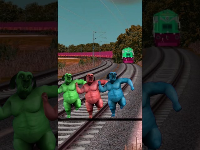 3 fat dogs dance on track attack the high-speed train #shortsfeed #tranding #