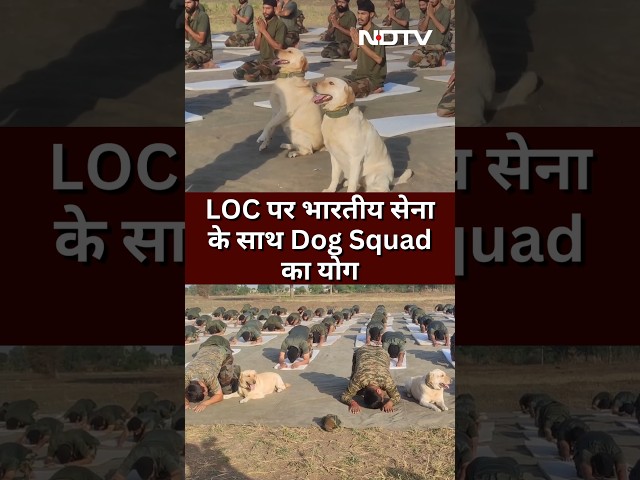 Indian Army के जवानों और Dog Squad ने LOC पर किया योग | International Yoga Day 2024: