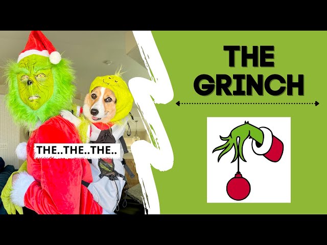 When You’re OVER Christmas! #grinch #funny