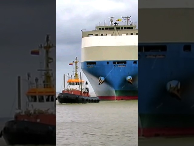 seaport ship traffic #youtubeshorts #youtube #shorts #short #shortsvideo #shortvideo #youtubeshort