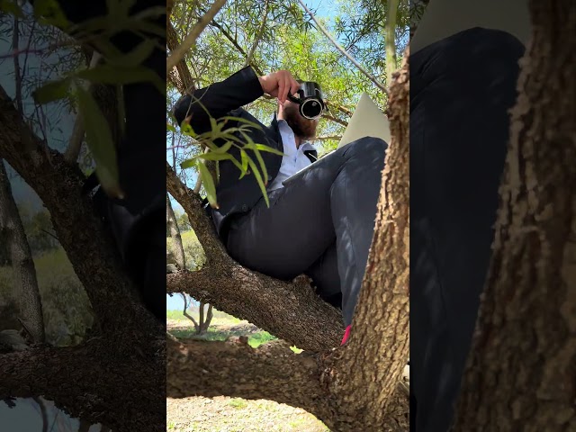 Climbing the Corporate Tree 🖥️ #shorts #comedy #corporatehumor