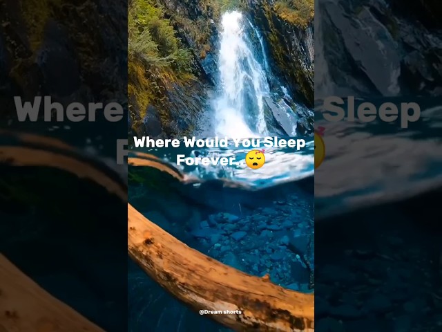 which place would you sleep in forever ?😴 #shorts #video #viral