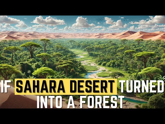 How Would Our World Change If the Sahara Desert Turned Into a Forest