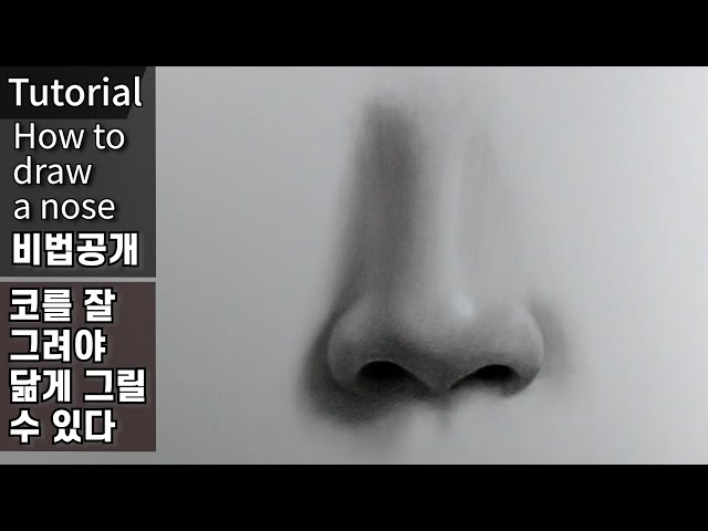 코를 잘 그려야지 닮게 그릴 수 있다 / 김소현 / 코 그리는법, 연필초상화, 연필 인물화, 소묘 기초,  연필 드로잉 기초 강좌 | DrawingJ드로잉제이