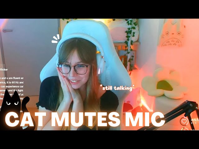 When kittycat mutes mic on stream