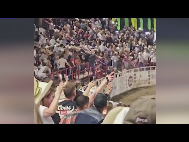 Party Bus, the jumping bull at Sisters Rodeo, pulled from competition
