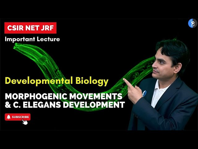 L16 I Morphogenic Movements & C. elegans Development I IFAS I CSIR