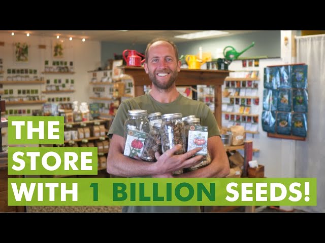 This Tiny Little Store Has 1 Billion Seeds Inside!