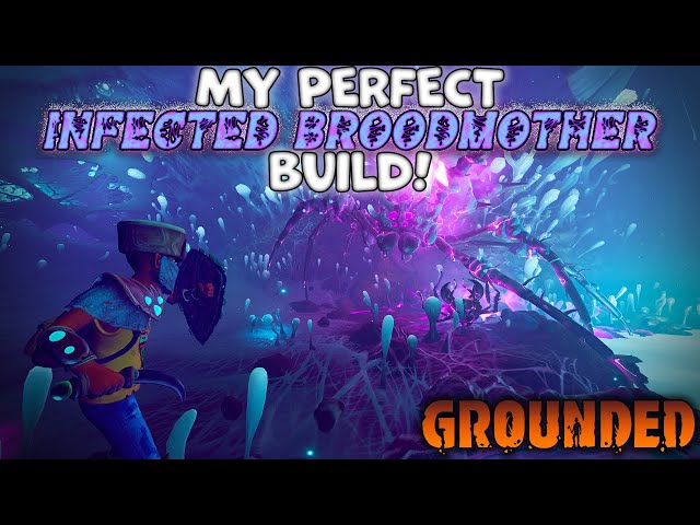 My "Perfect" Infected Broodmother Build (NG+3) | Grounded