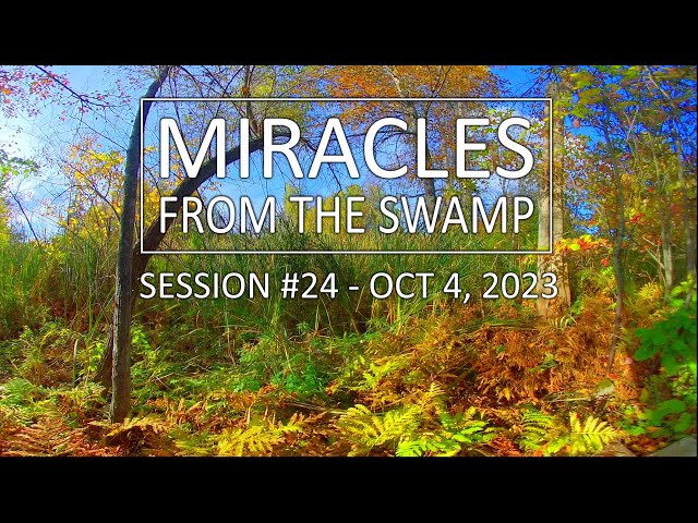 Miracles From The Swamp : Session #24 - October 4, 2023 at 4:34 PM | Virtual Reality / VR180