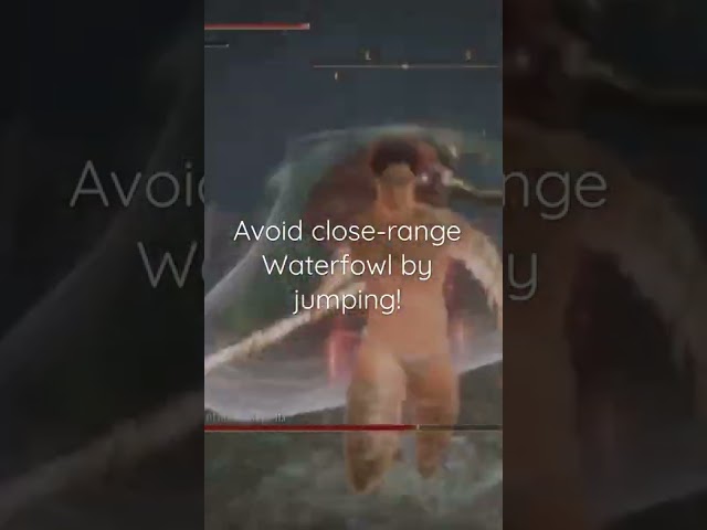 Waterfowl Dance Jump Dodge