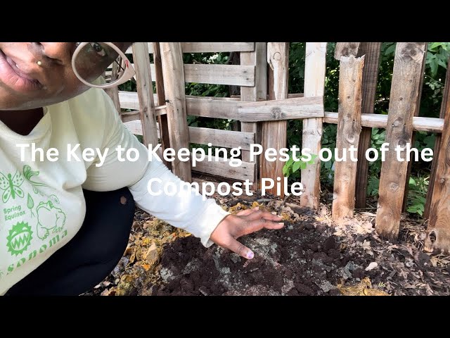 How To Keep Pests Out of Your Compost Pile