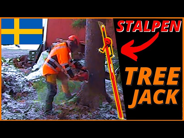 Best Lightweight Tree Jack For Precision Tree Felling - Stalpen Tree Jack