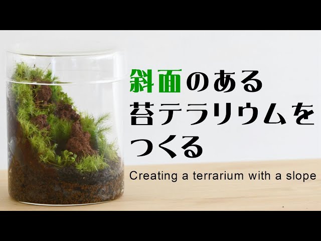 斜面のある苔テラリウムの作り方【レイアウトテクニック】 #03