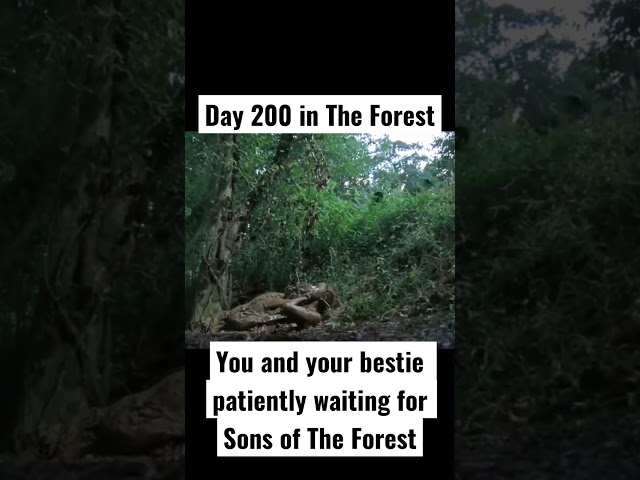 Day 200 in The Forest | Patiently waiting for Sons of The Forest #theforest