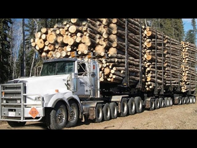 Dangerous Fastest Biggest Heavy Chainsaw Tree Cutting, Logging Wood Truck & Wood Sawmill Machines