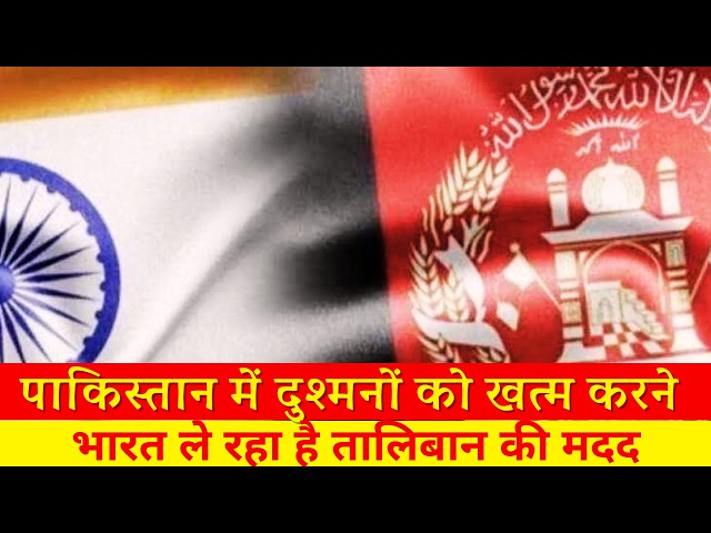 India + Taliban + Dawood = Kashmiri Militants Dead in Pakistan - US Intelligence | CIA Sarah Adams